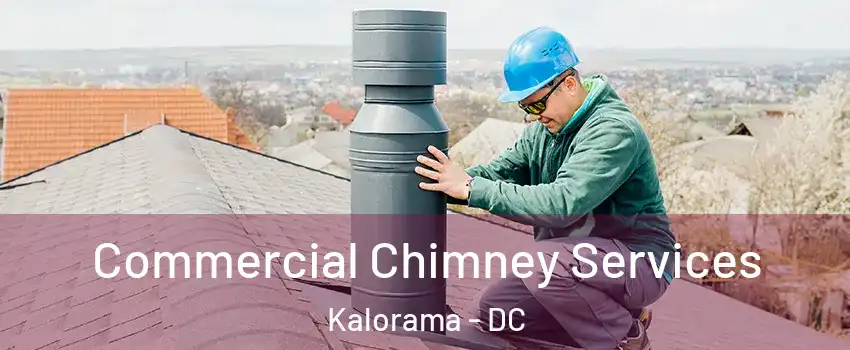 Commercial Chimney Services Kalorama - DC