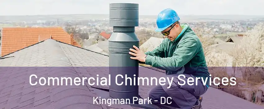 Commercial Chimney Services Kingman Park - DC