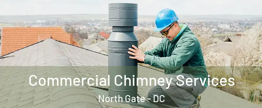 Commercial Chimney Services North Gate - DC