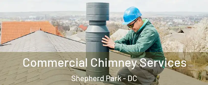 Commercial Chimney Services Shepherd Park - DC