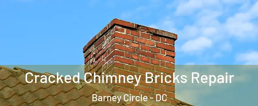 Cracked Chimney Bricks Repair Barney Circle - DC