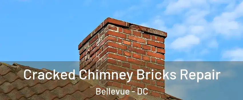 Cracked Chimney Bricks Repair Bellevue - DC