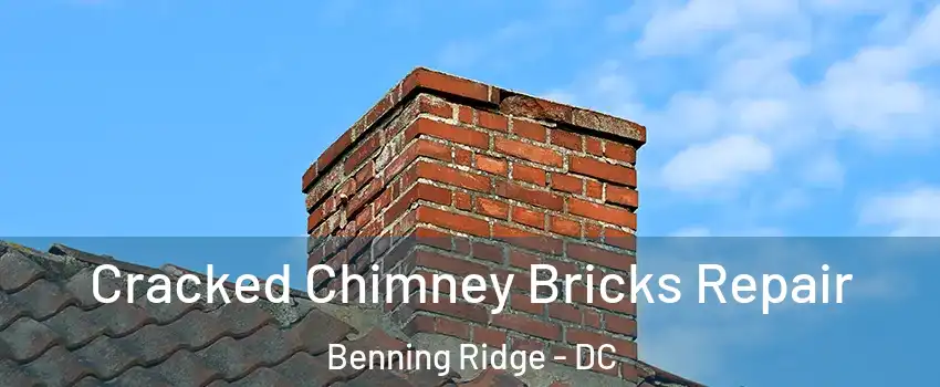 Cracked Chimney Bricks Repair Benning Ridge - DC