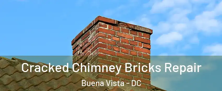 Cracked Chimney Bricks Repair Buena Vista - DC