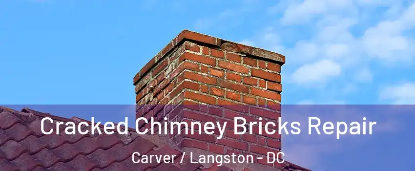 Cracked Chimney Bricks Repair Carver / Langston - DC