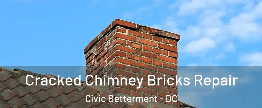 Cracked Chimney Bricks Repair Civic Betterment - DC