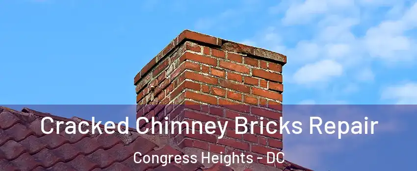 Cracked Chimney Bricks Repair Congress Heights - DC