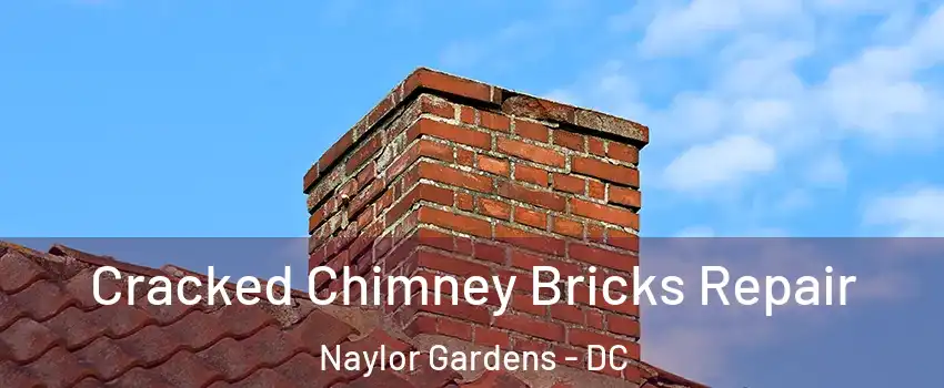 Cracked Chimney Bricks Repair Naylor Gardens - DC