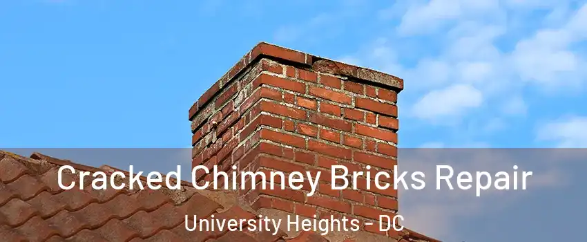 Cracked Chimney Bricks Repair University Heights - DC