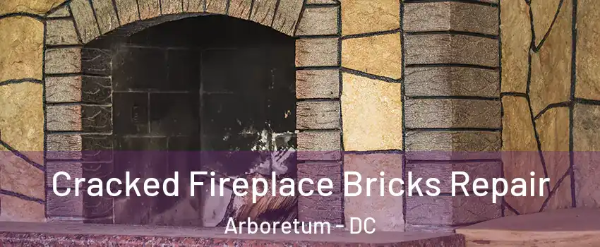 Cracked Fireplace Bricks Repair Arboretum - DC