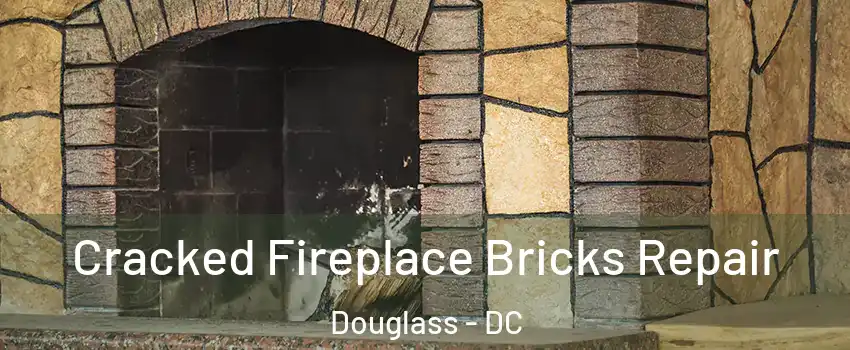 Cracked Fireplace Bricks Repair Douglass - DC