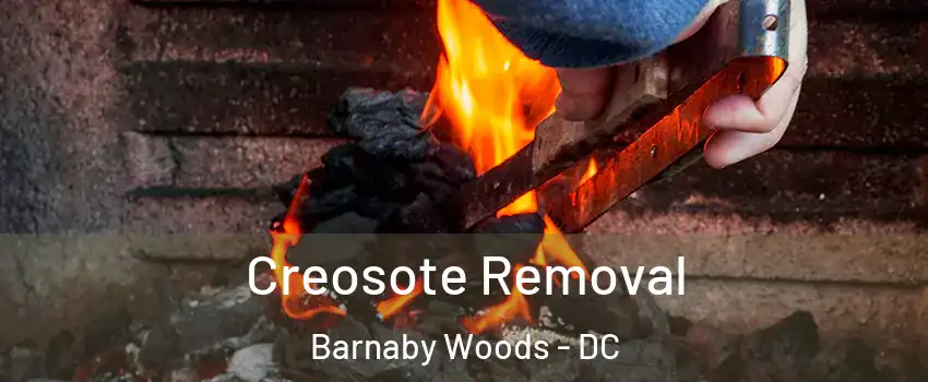 Creosote Removal Barnaby Woods - DC