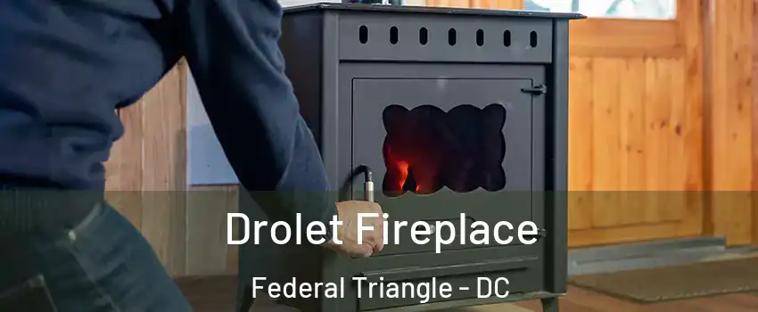 Drolet Fireplace Federal Triangle - DC