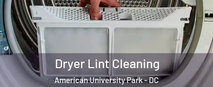 Dryer Lint Cleaning American University Park - DC