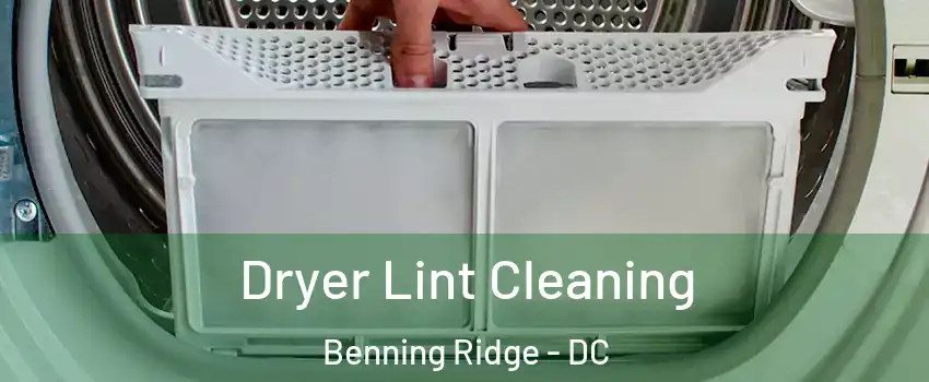 Dryer Lint Cleaning Benning Ridge - DC