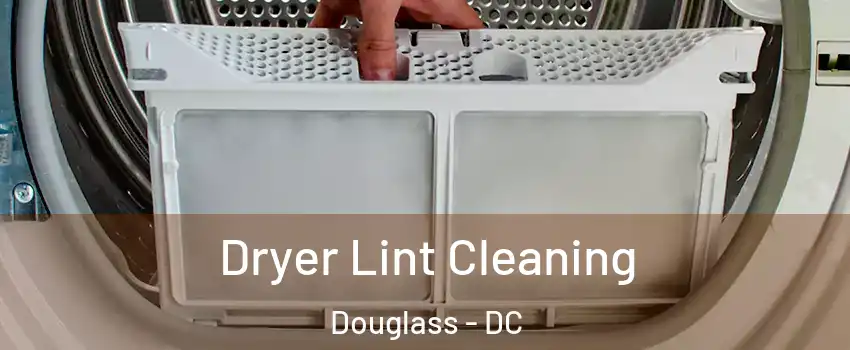 Dryer Lint Cleaning Douglass - DC