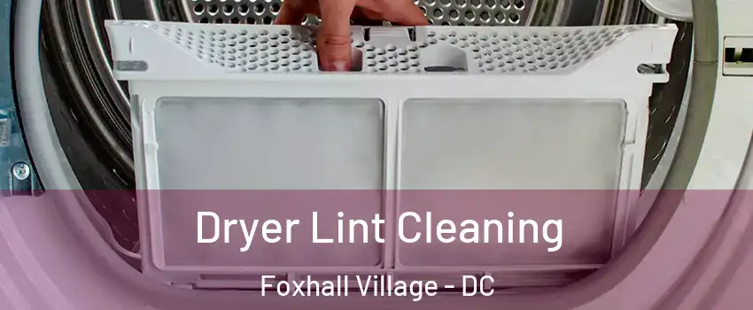 Dryer Lint Cleaning Foxhall Village - DC