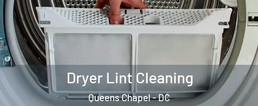 Dryer Lint Cleaning Queens Chapel - DC