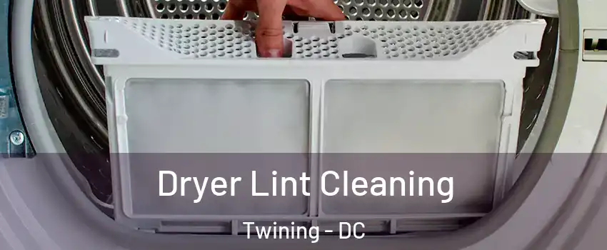 Dryer Lint Cleaning Twining - DC