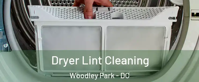 Dryer Lint Cleaning Woodley Park - DC