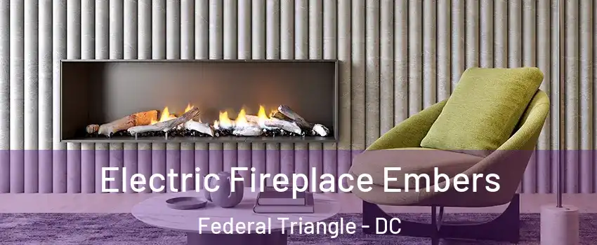 Electric Fireplace Embers Federal Triangle - DC