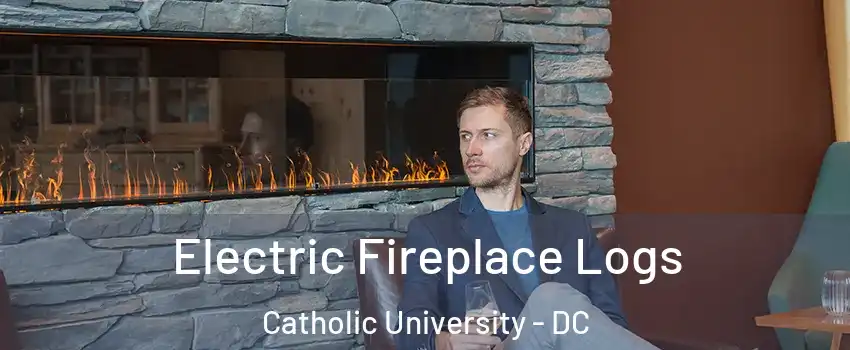 Electric Fireplace Logs Catholic University - DC