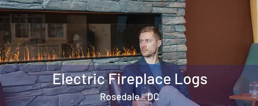 Electric Fireplace Logs Rosedale - DC