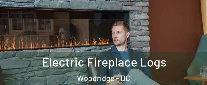 Electric Fireplace Logs Woodridge - DC