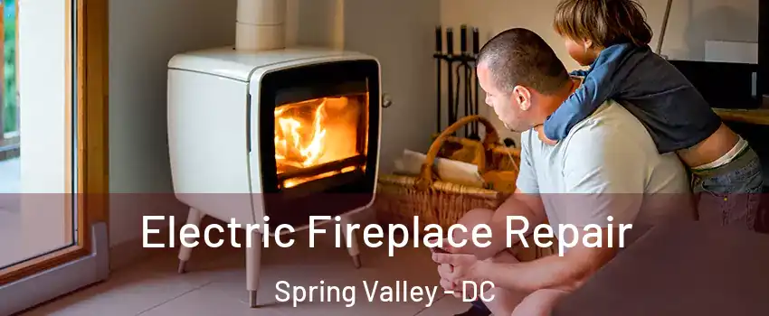 Electric Fireplace Repair Spring Valley - DC