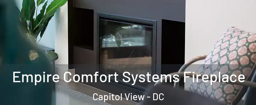 Empire Comfort Systems Fireplace Capitol View - DC