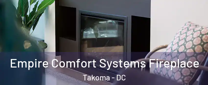 Empire Comfort Systems Fireplace Takoma - DC