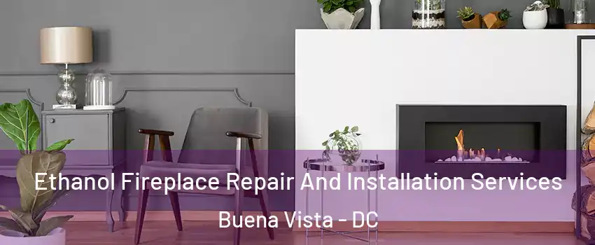 Ethanol Fireplace Repair And Installation Services Buena Vista - DC