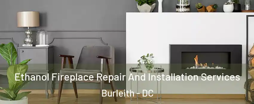 Ethanol Fireplace Repair And Installation Services Burleith - DC