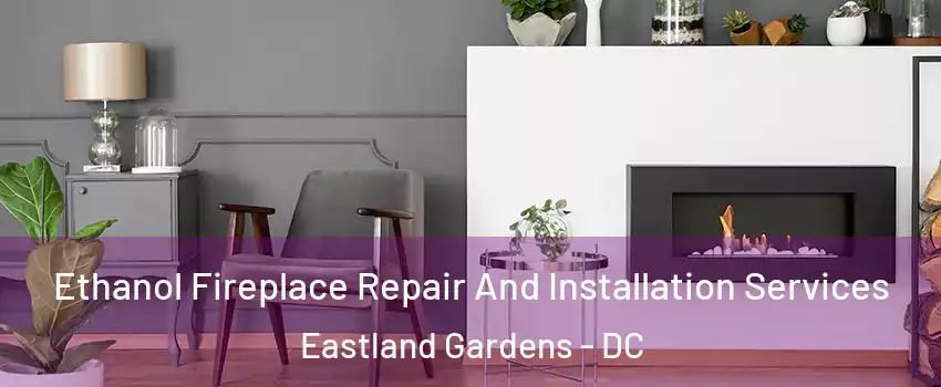 Ethanol Fireplace Repair And Installation Services Eastland Gardens - DC