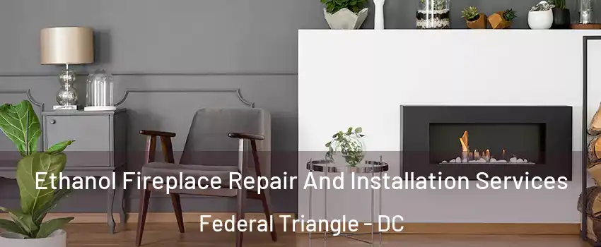 Ethanol Fireplace Repair And Installation Services Federal Triangle - DC