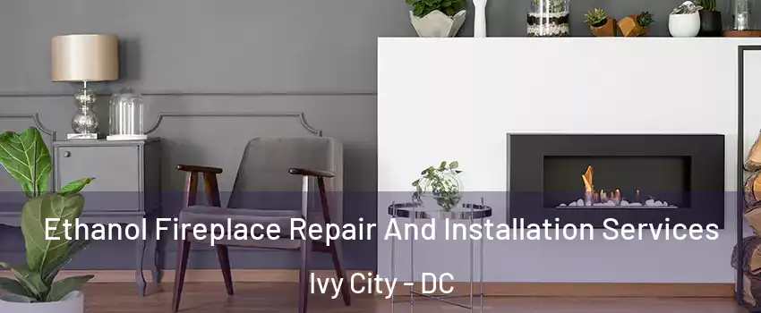 Ethanol Fireplace Repair And Installation Services Ivy City - DC