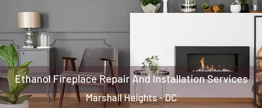 Ethanol Fireplace Repair And Installation Services Marshall Heights - DC