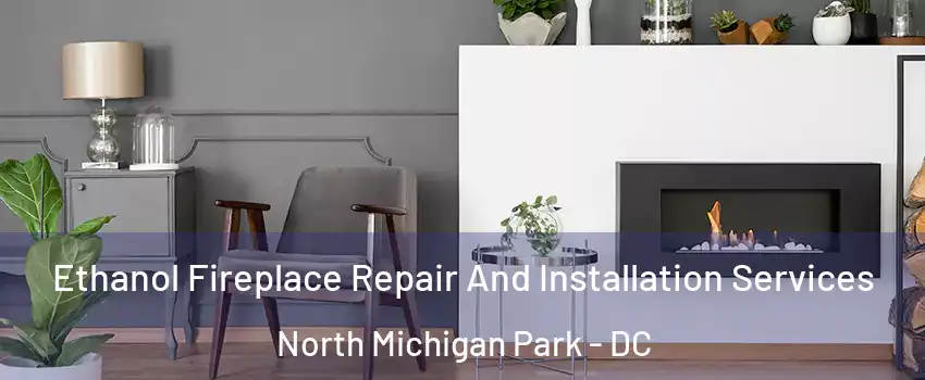 Ethanol Fireplace Repair And Installation Services North Michigan Park - DC