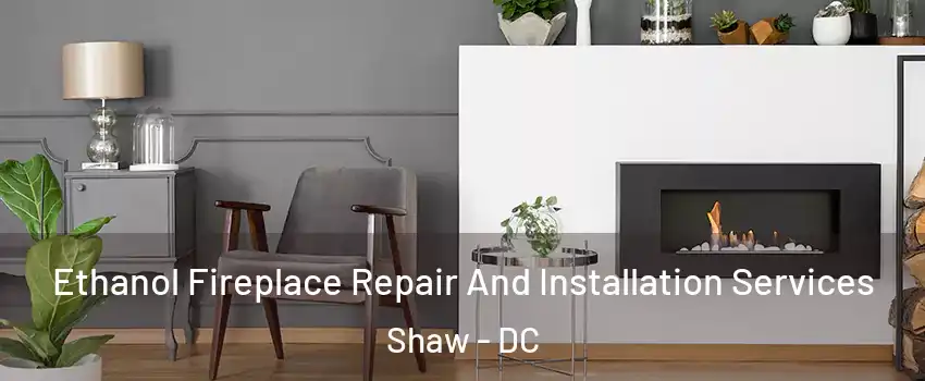 Ethanol Fireplace Repair And Installation Services Shaw - DC