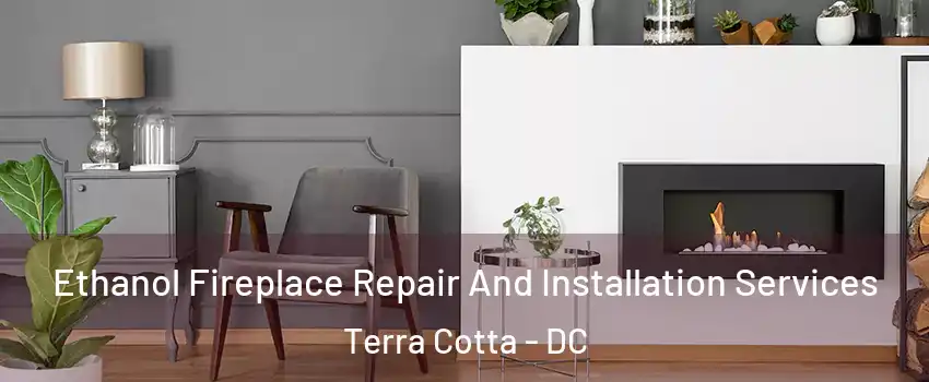 Ethanol Fireplace Repair And Installation Services Terra Cotta - DC