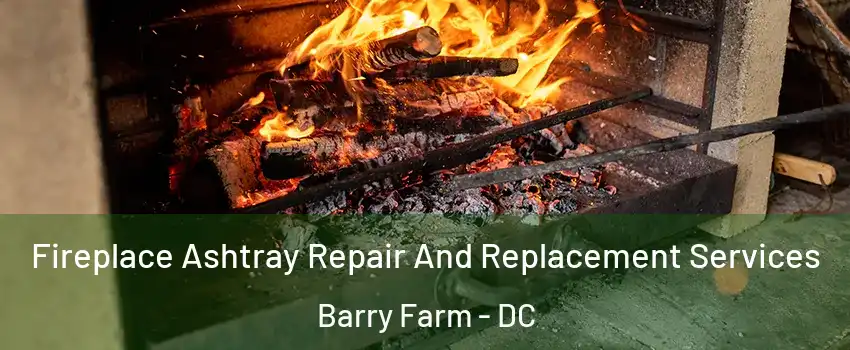 Fireplace Ashtray Repair And Replacement Services Barry Farm - DC