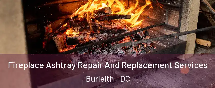 Fireplace Ashtray Repair And Replacement Services Burleith - DC