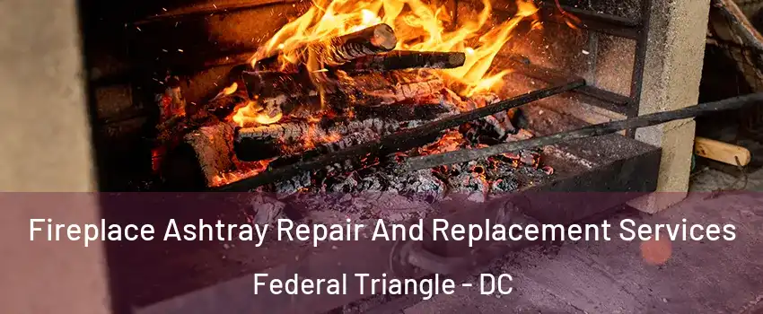 Fireplace Ashtray Repair And Replacement Services Federal Triangle - DC