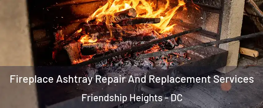 Fireplace Ashtray Repair And Replacement Services Friendship Heights - DC