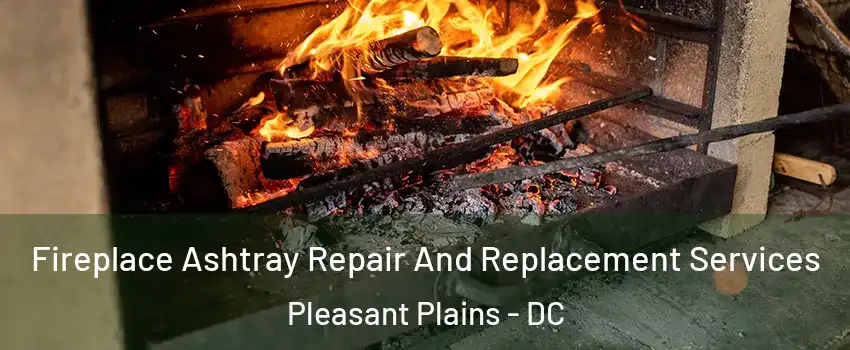 Fireplace Ashtray Repair And Replacement Services Pleasant Plains - DC