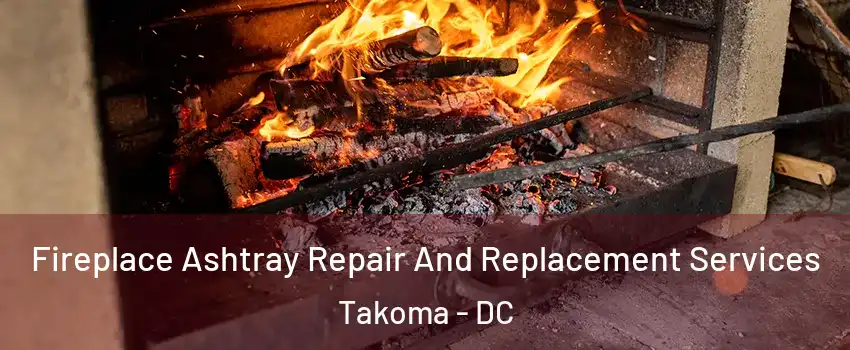 Fireplace Ashtray Repair And Replacement Services Takoma - DC