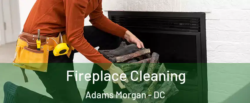 Fireplace Cleaning Adams Morgan - DC