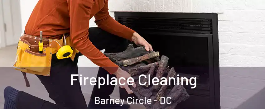 Fireplace Cleaning Barney Circle - DC