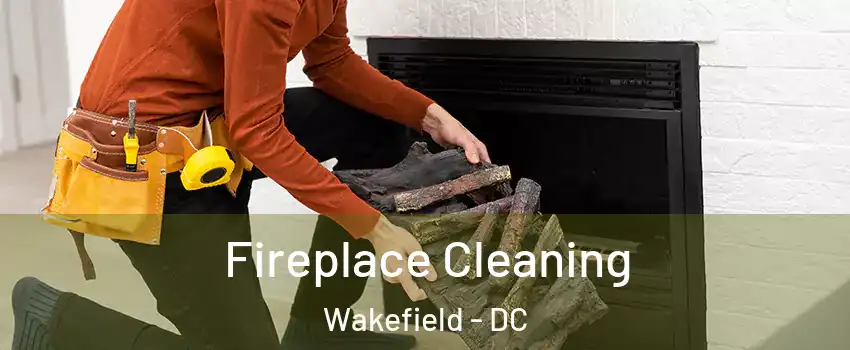 Fireplace Cleaning Wakefield - DC