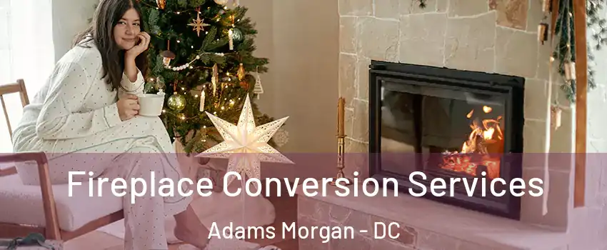 Fireplace Conversion Services Adams Morgan - DC